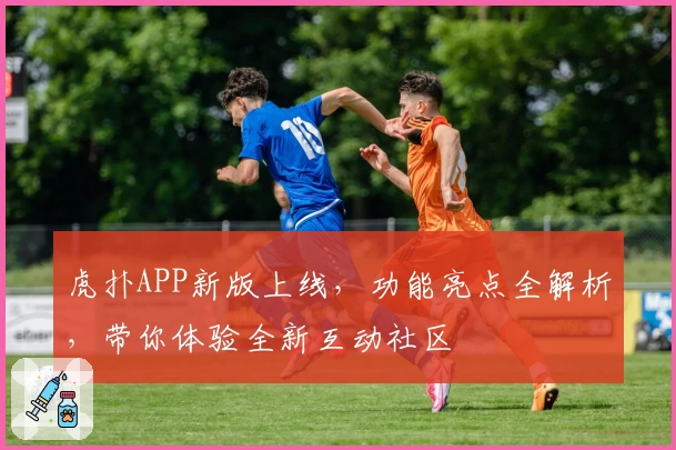 虎扑APP新版上线，功能亮点全解析，带你体验全新互动社区
